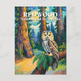 Redwood National Park Forest Owl Van Gogh Style Vykort