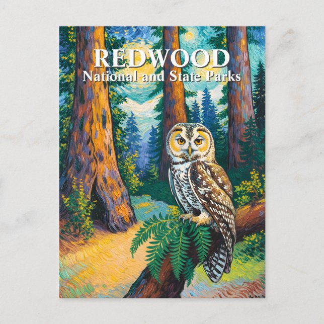 Redwood National Park Forest Owl Van Gogh Style Vykort (Framsida)