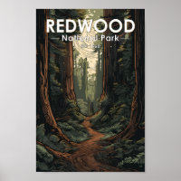 Redwood National Park Illustration Trail Vintage