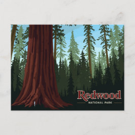 Redwood National Park Jätte Träd Konst Vykort
