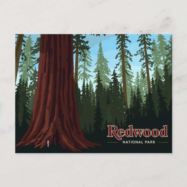 Redwood National Park Jätte Träd Konst Vykort (Framsida)