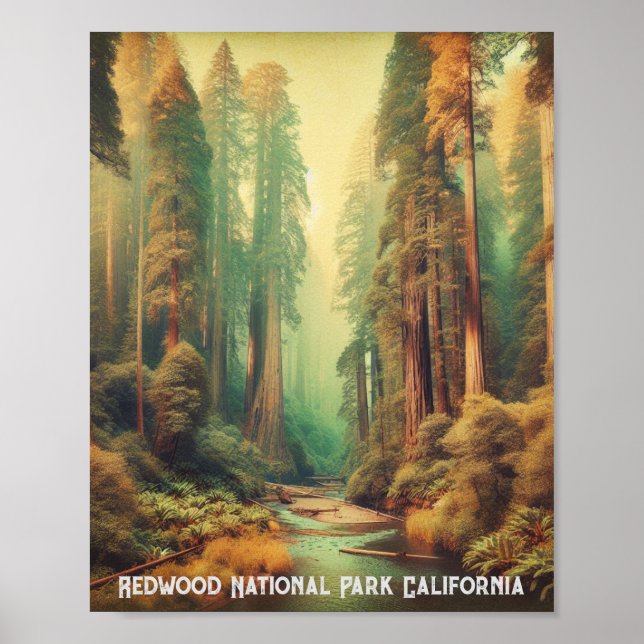 Redwood National Park Kalifornien Poster (Framsidan)