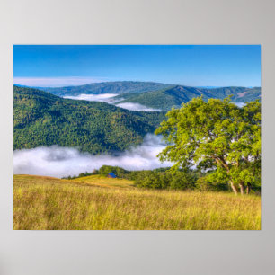 Redwood National Park, Kalifornien Poster