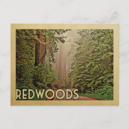Redwood National Park Kalifornien Vintage resor Vykort