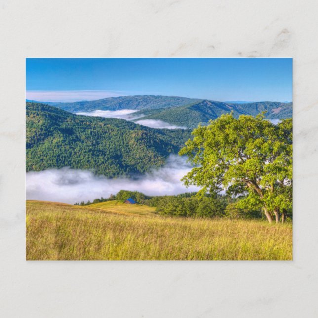 Redwood National Park, Kalifornien Vykort (Framsida)