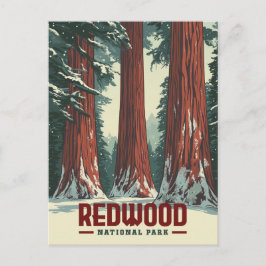 Redwood National Park - Klassiska Kalifornien Vykort