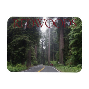 Redwood National Park Magnet