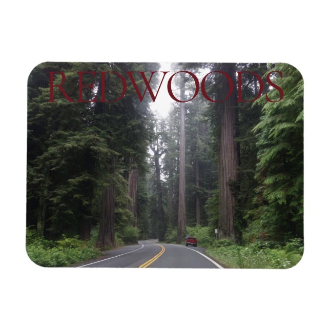 Redwood National Park Magnet (Horisontell)