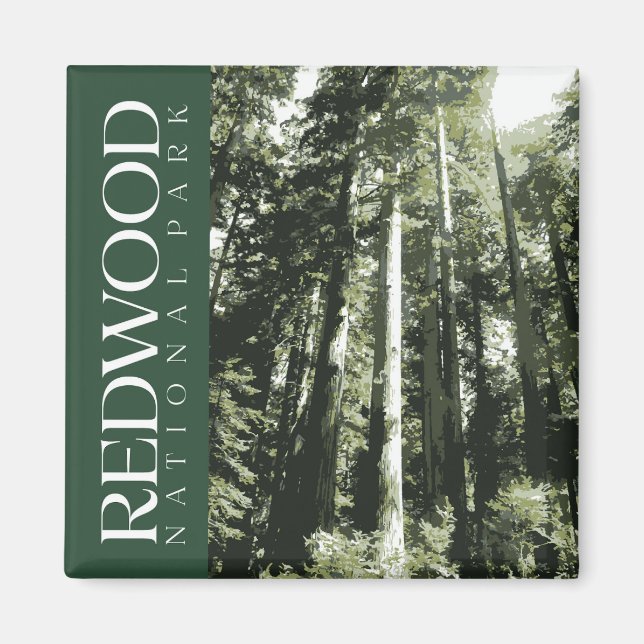 Redwood National Park Magnet (Framsidan)