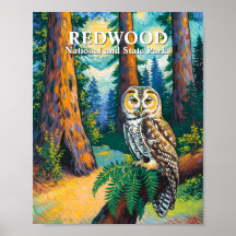 Redwood National Park Skog Uggle Van Gogh Stil