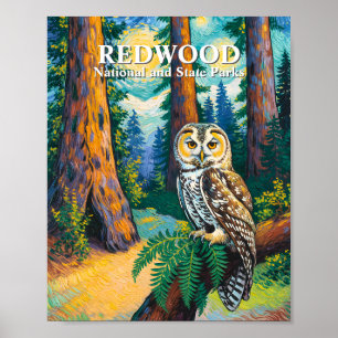 Redwood National Park Skog Uggle Van Gogh Stil Poster