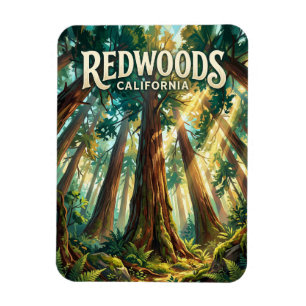 Redwood National Park USA Magnet