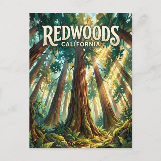 Redwood National Park USA Vykort (Framsida)