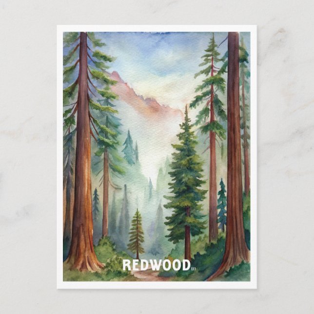Redwood National Park Watercolor Painting Vykort (Framsida)
