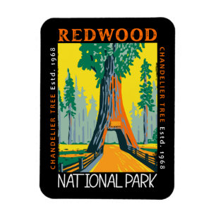Redwood nationalpark Chandelier Träd Distress Magnet