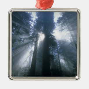 Redwood Nationalpark, Del Norte County, dimmig Julgransprydnad Metall