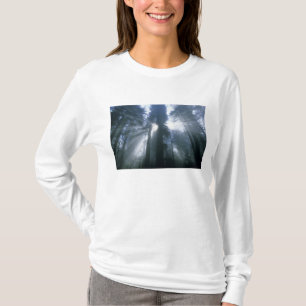 Redwood Nationalpark, Del Norte County, dimmig T-shirt