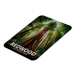 Redwood nationalstatspark, kustnära Kalifornien Magnet