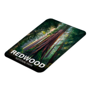 Redwood nationalstatspark, kustnära Kalifornien Magnet
