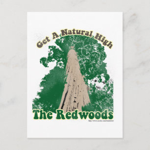 Redwood Natural High Vykort