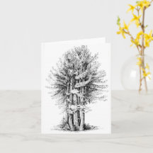Redwood Notecard