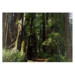 Redwood och Ferns i Redwood National Park