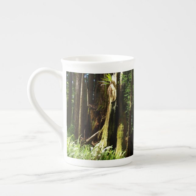 Redwood och Ferns i Redwood National Park Benporslin Mugg (Vänster)