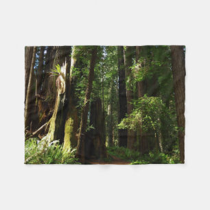 Redwood och Ferns i Redwood National Park Fleecefilt