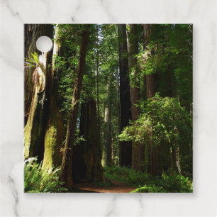 Redwood och Ferns i Redwood National Park Gåvor Etiketter