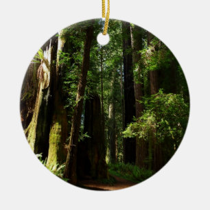 Redwood och Ferns i Redwood National Park Julgransprydnad Keramik