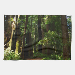 Redwood och Ferns i Redwood National Park Kökshandduk