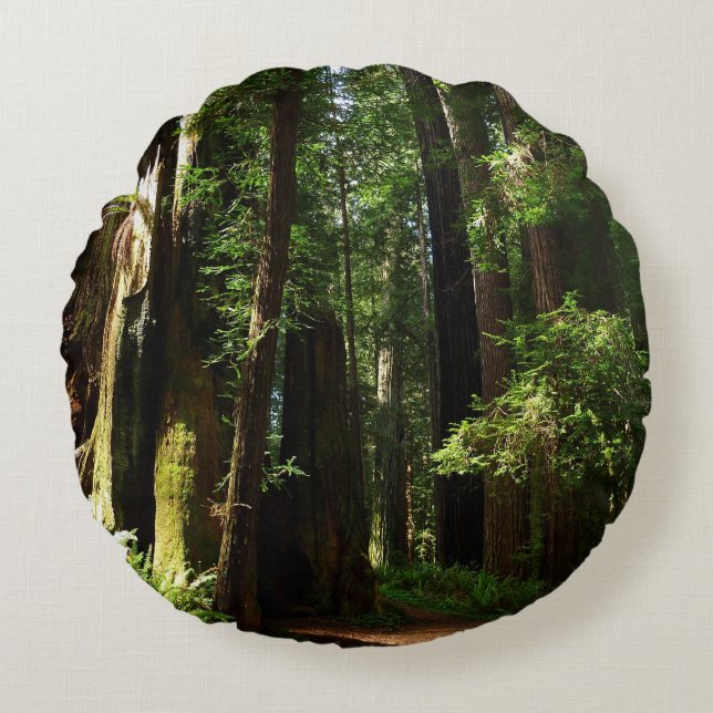 Redwood och Ferns i Redwood National Park Rund Kudde (Framsidan)