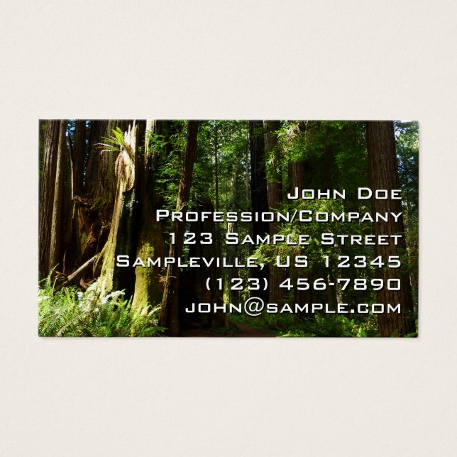 Redwood och Ferns i Redwood National Park Visitkort (Framsidan)