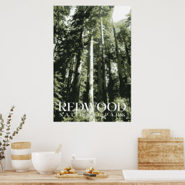 Redwood Poster, nationalparken Skriv ut Poster