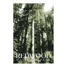 Redwood Poster, nationalparken Skriv ut