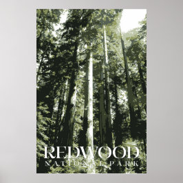 Redwood Poster, nationalparken Skriv ut Poster