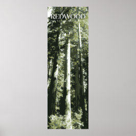 Redwood Print, nationalparken Poster, 12 x 36 tum Poster
