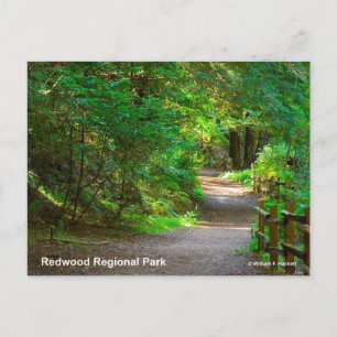 Redwood Regional Park California Products Vykort