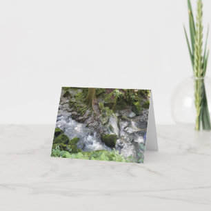 Redwood stream-skärande över sten-notecard tack kort