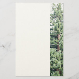 Redwood Träd Brevpapper