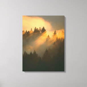 Redwood-träd i kustnära dimma, Marin County, Canvastryck