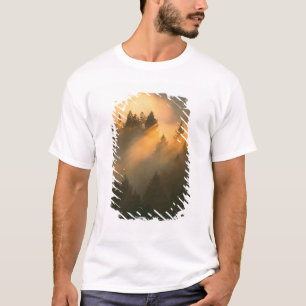 Redwood-träd i kustnära dimma, Marin County, T-shirt