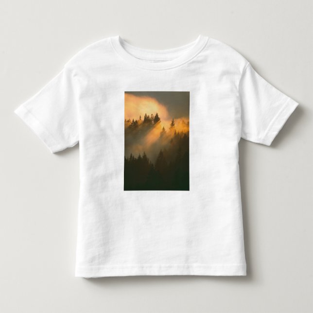 Redwood-träd i kustnära dimma, Marin County, Tee (Framsida)