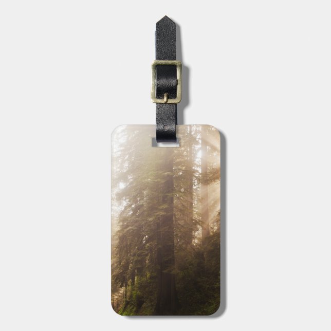 Redwood Träd i morgonfog med solstrålning Bagagebricka (Vertikal Framsida)