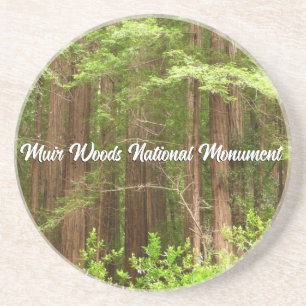 Redwood-träd i Muir Woods National Monument Underlägg