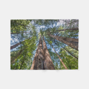 Redwood-träd Marin County, Kalifornien Fleecefilt