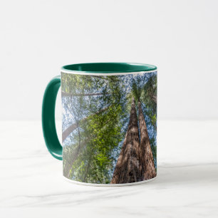 Redwood-träd Marin County, Kalifornien Mugg