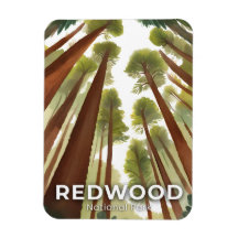 Redwood-träd | Nationalpark Akvarell Resa