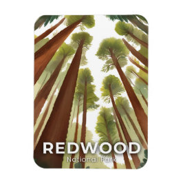 Redwood-träd | Nationalpark Akvarell Resa Magnet