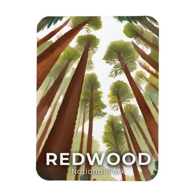 Redwood-träd | Nationalpark Akvarell Resa Magnet (Vertikal)